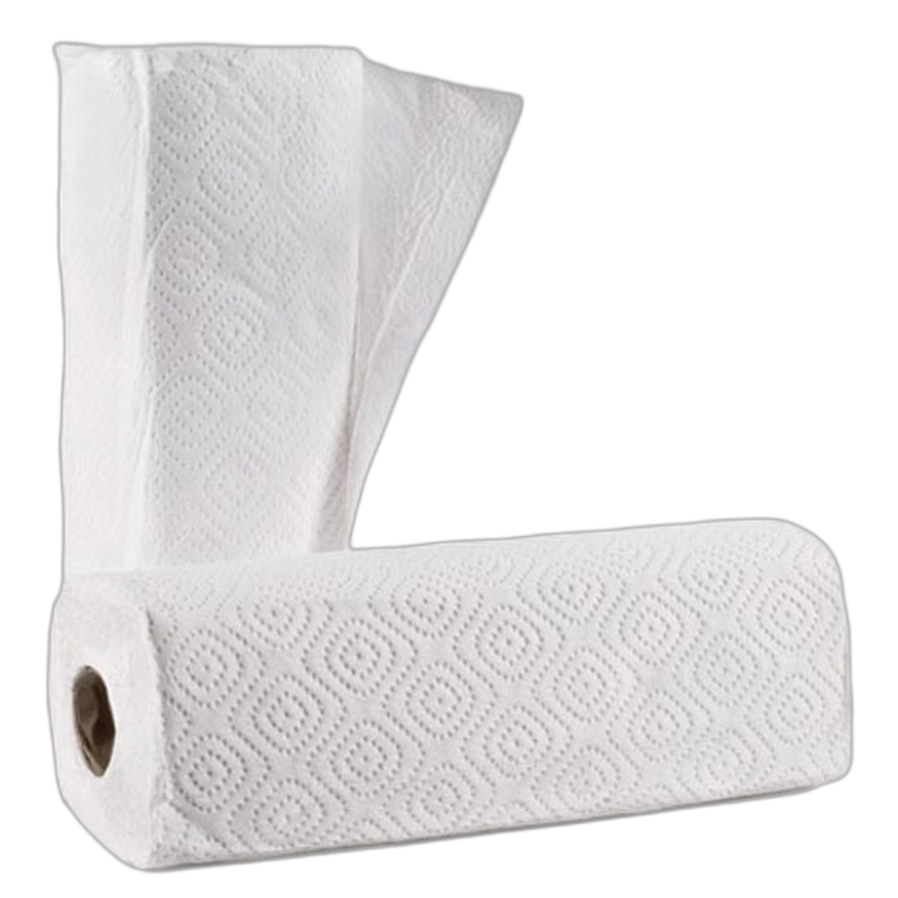 Twinsaver Paper Roller Towel - pkt of 2
