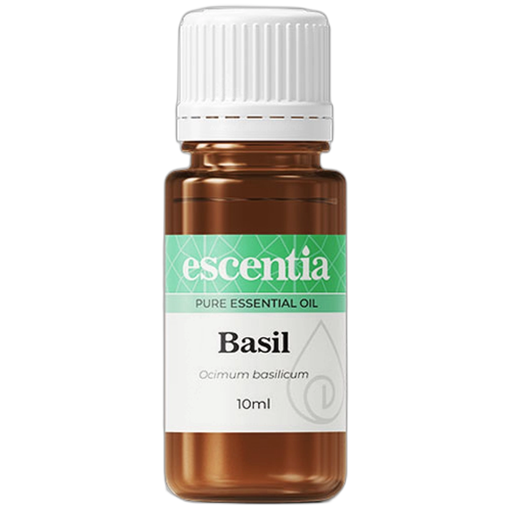 Essential Oil Basil 11ml