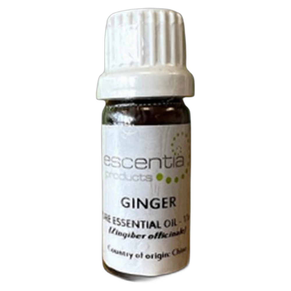 Essential Oil Ginger 11ml
