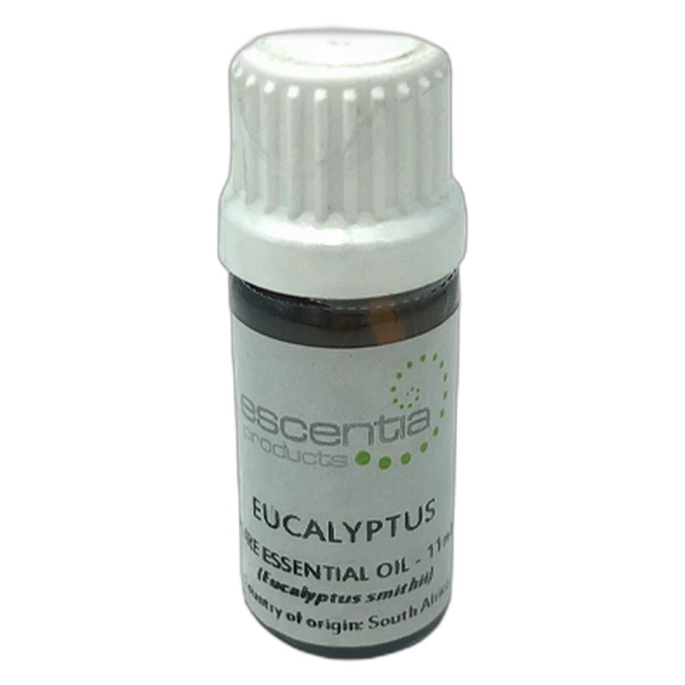 Salon Fresh Essential Oil Eucalyptus (Smithii) 11ml