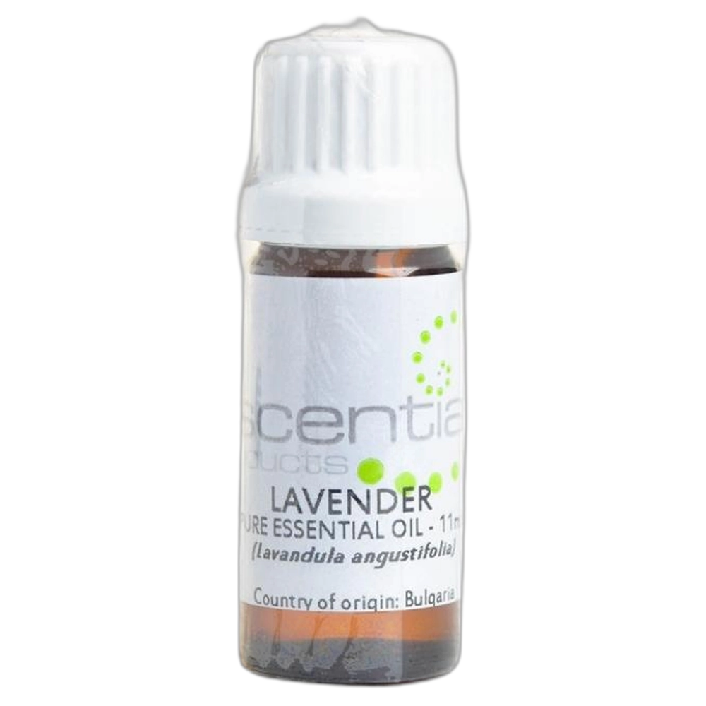 Salon Fresh Essential Oil Lavender 11ml