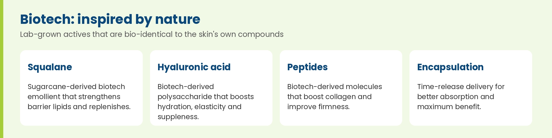 Biotech actives in ANESI LAB: squalane, hyaluronic acid, peptides and encapsulation