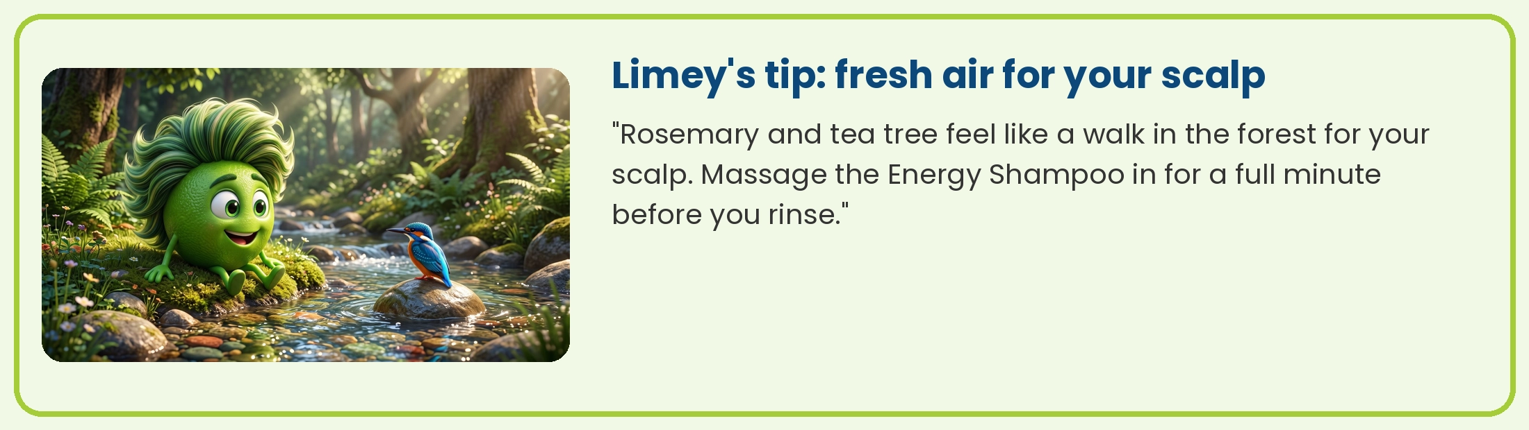 Limey by a forest stream: rosemary and tea tree feel like a walk in the forest for your scalp