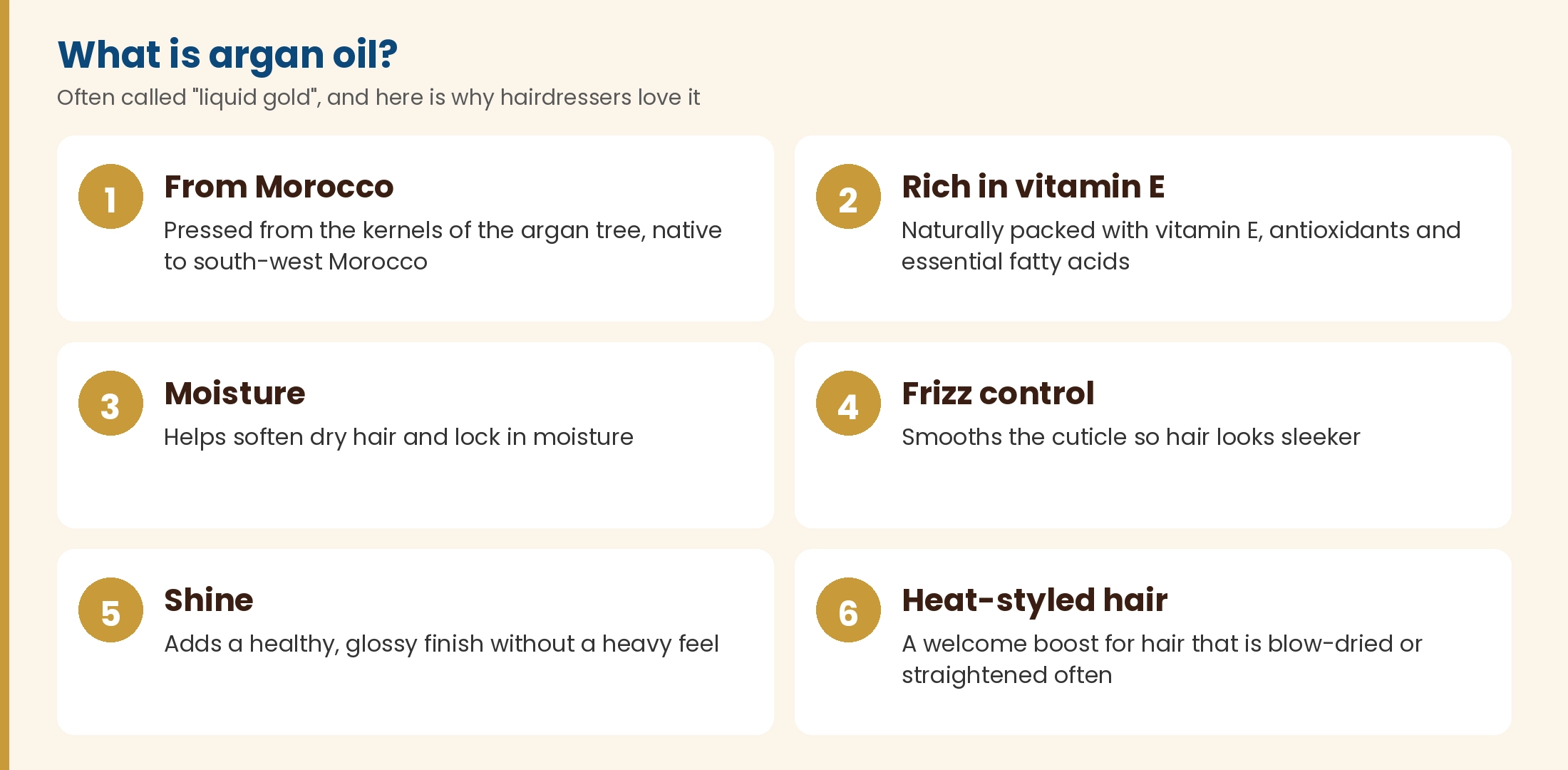 What is argan oil: from Morocco, rich in vitamin E, moisture, frizz control, shine and support for heat-styled hair