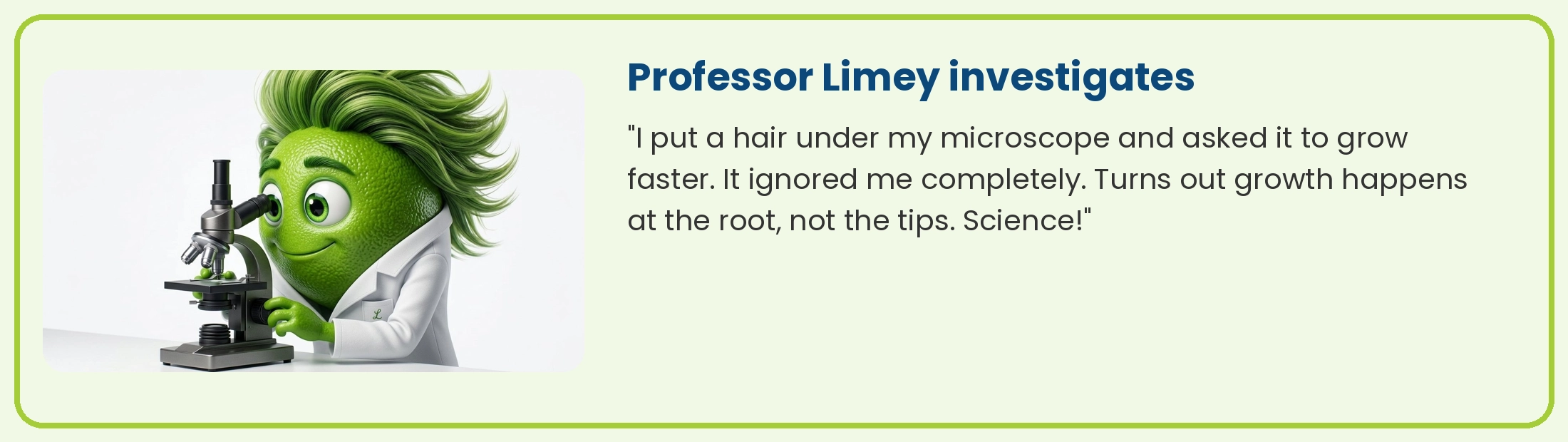 Professor Limey at his microscope: hair growth happens at the root, not the tips