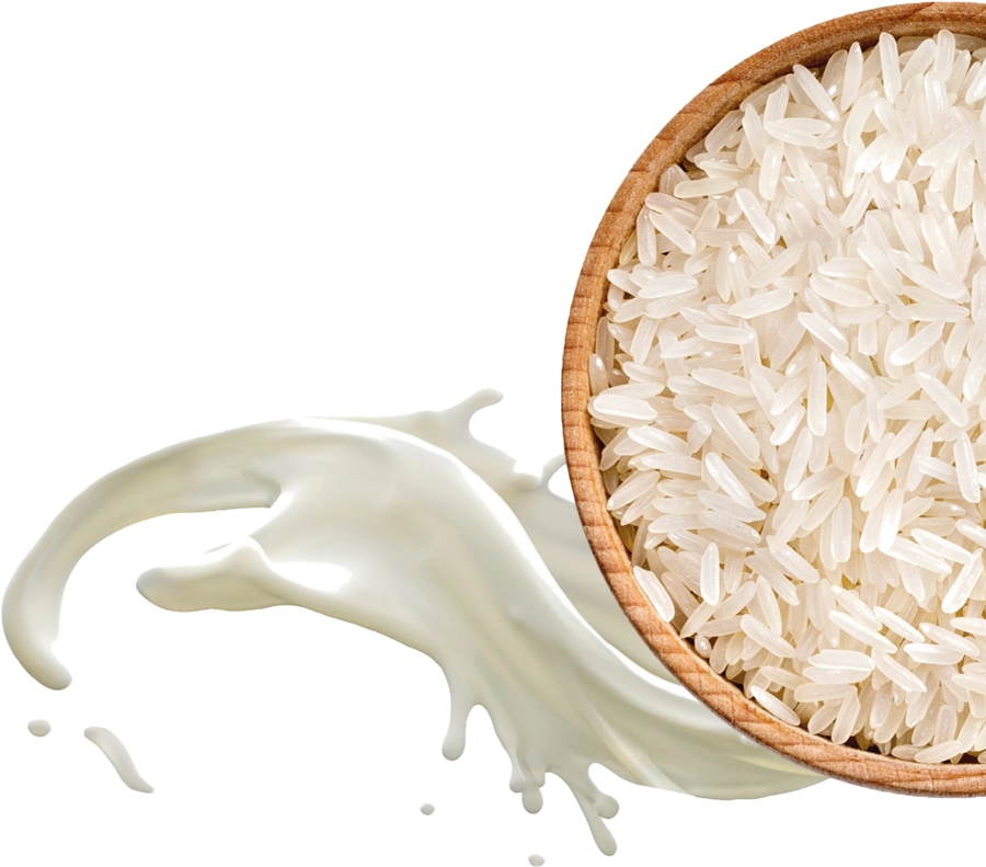 Rice grains and milk representing the rice proteins in every DiksoPrime formula