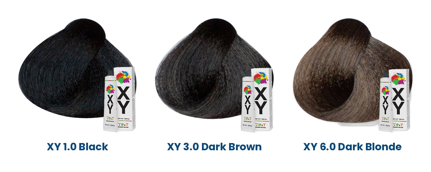 XY Tint 100ml in 1.0 Black, 3.0 Dark Brown and 6.0 Dark Blonde with hair swatches