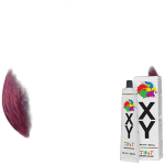 HCOPCOEXC055 (Each) - XY Tint 100ml 6.26 Dark Blonde Red Violet