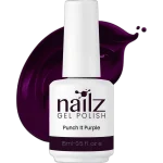 Nailz Gel Polish 15ml - 1489 - Punch it Purple